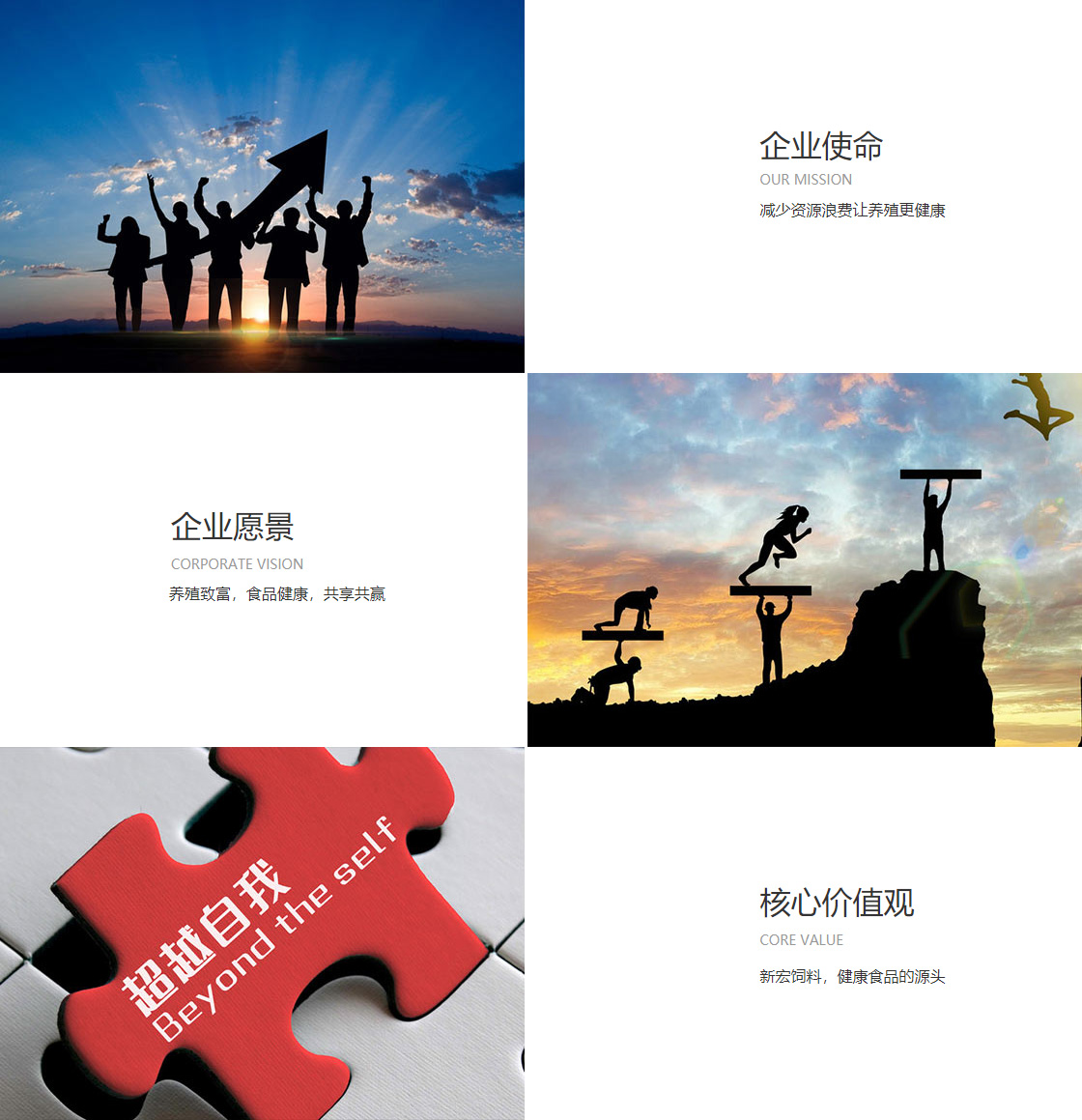 星空棋牌娱乐平台(图1)